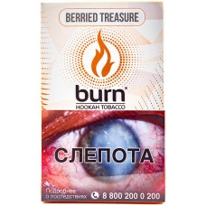 Купить Burn - Berried Treasure (Ягодное Сокровище, 100 г)