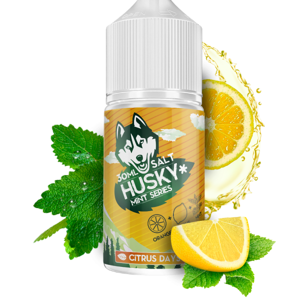 Купить Husky Salt Mint Series Strong - Citrus Days (Апельсин - Мята) 30мл